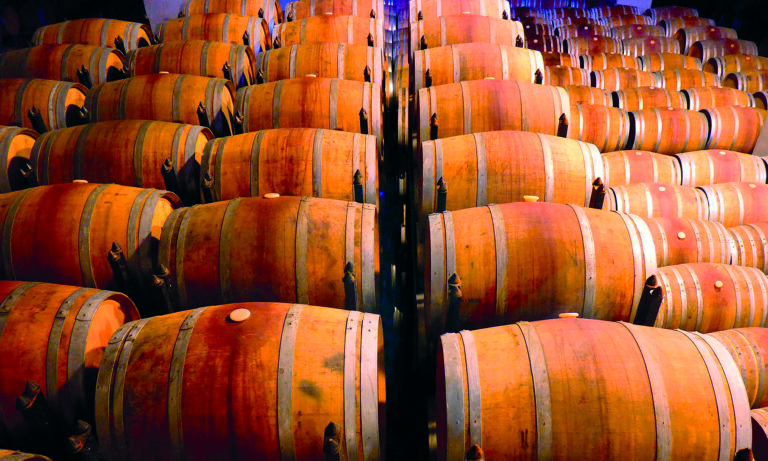 Michele Viano cellar barrels