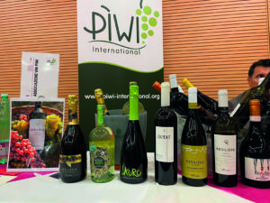 Piwi International