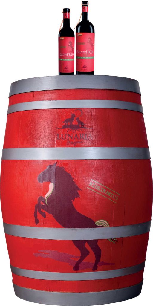 lunaria bucefalo wine